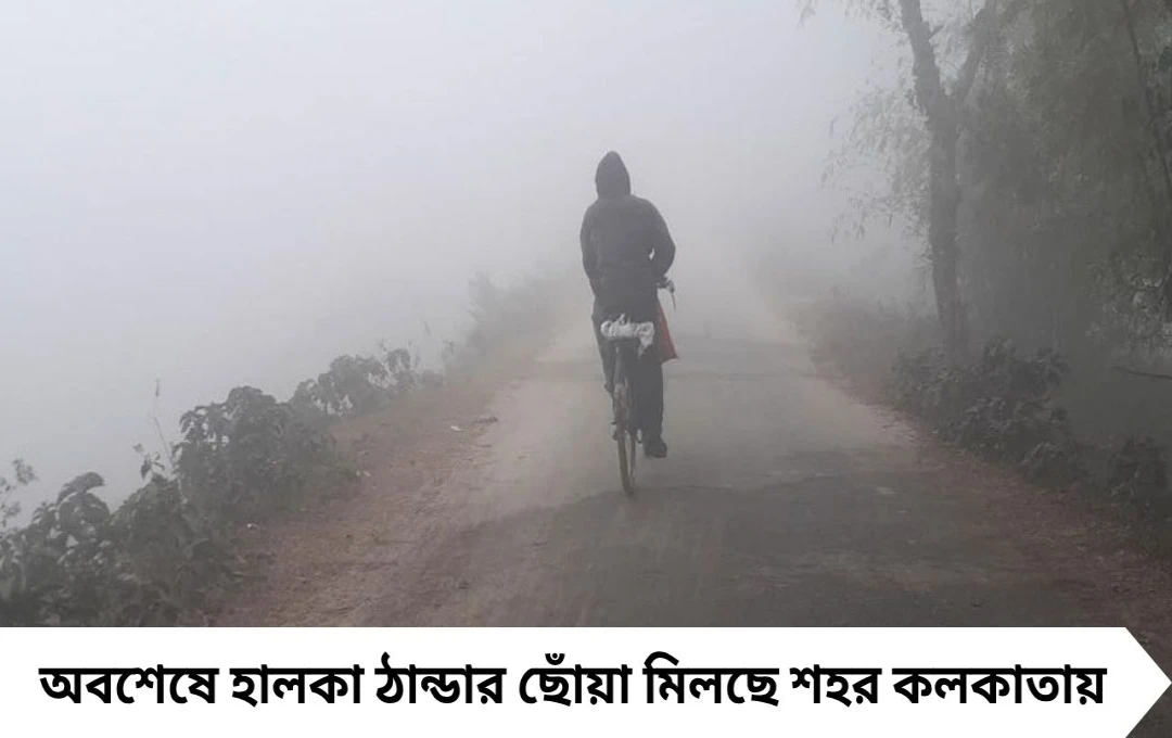 শীতের আগমনী বার্তা! জলীয় বাষ্প কমতেই কুয়াশায় ঢাকল শহর-গ্রাম, কলকাতায় ৪ ডিগ্রি পারা পতন