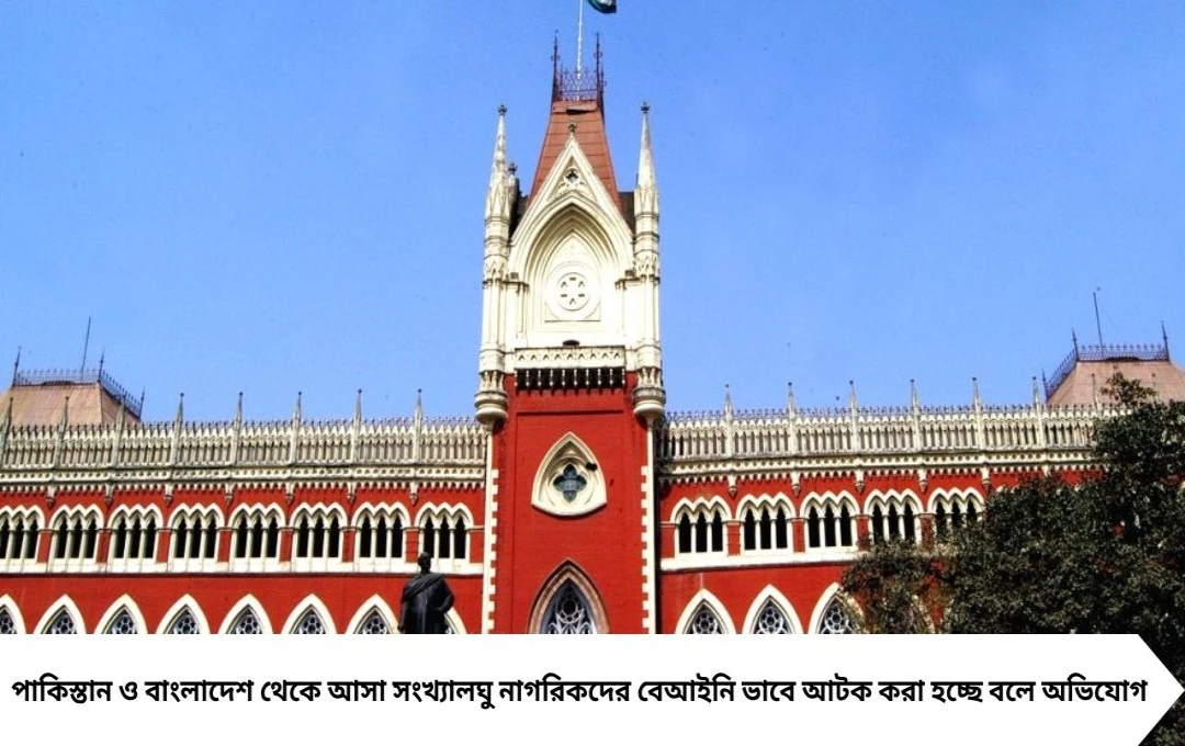 বাংলাদেশ-আফগানিস্তান-পাকিস্তানের সংখ্যালঘু আটক কেন, জনস্বার্থ মামলা হাইকোর্টে