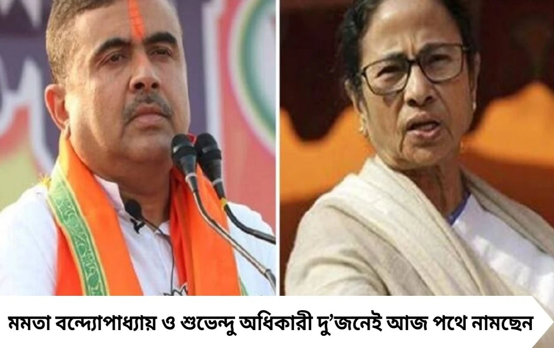 SIR শুরু রাজ্যে, পথে মুখ্যমন্ত্রী মমতা ও শুভেন্দু অধিকারী, ফিল্ডে নেমে পড়লেন BLO-রা