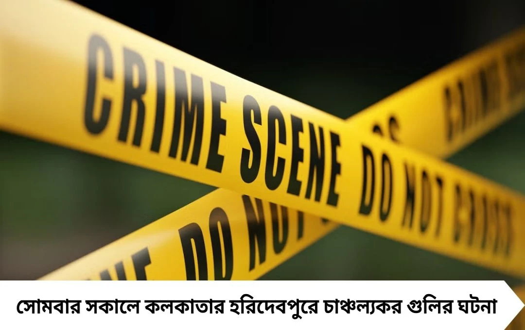 সম্পর্কের টানাপোড়েনেই হরিদেবপুরে গুলি, গ্রেফতার শ্যুটার বাপ্পা দাস