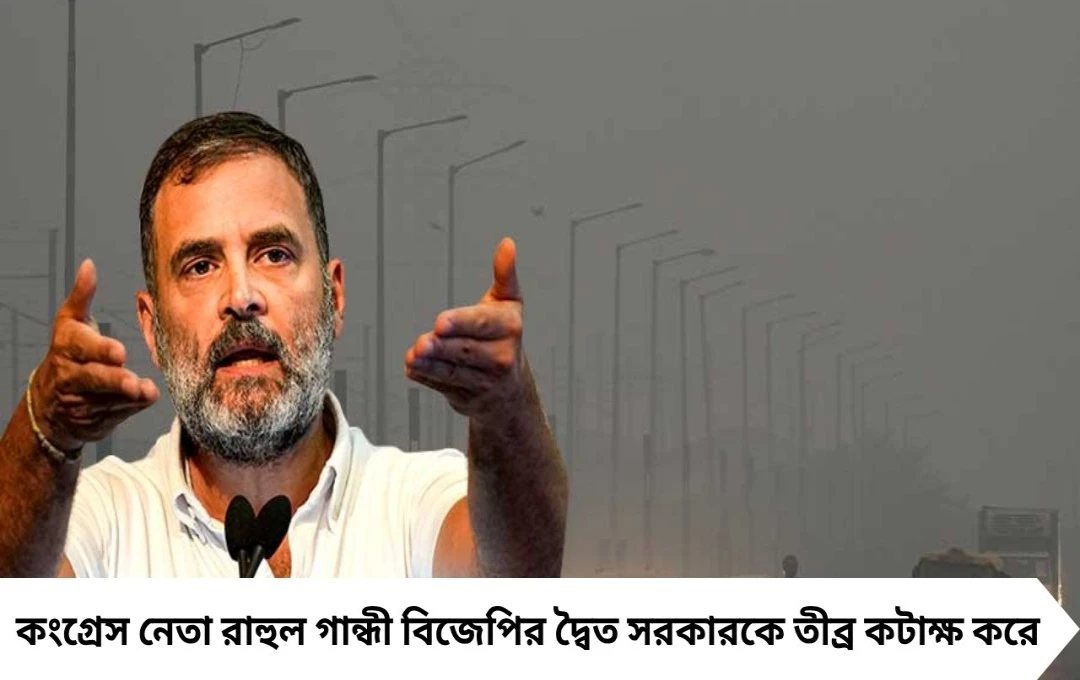প্রতি বছর অজুহাত বদলায়, দূষণ নয়! দিল্লির বিষবায়ু নিয়ে বিজেপিকে নিশানা রাহুল গান্ধীর