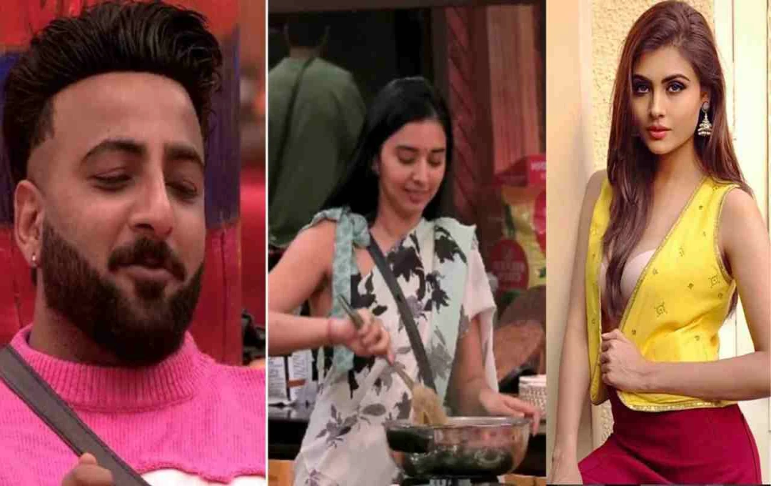 Bigg Boss 19 में बढ़ा ड्रामा! शहबाज ने मालती चाहर और तान्या मित्तल को सुनाई खरी-खोटी, गुस्से में कहा ‘दोगली’