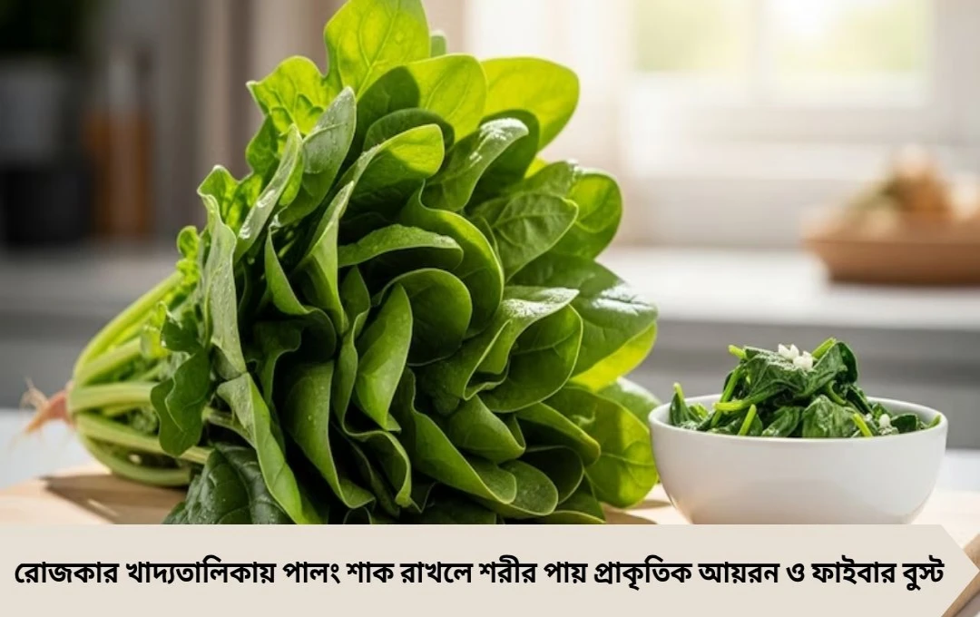 রোজকার পাতে এক আঁটি পালং শাক: আয়রন ও ফাইবারে ভরপুর ১০টি সহজ রেসিপি