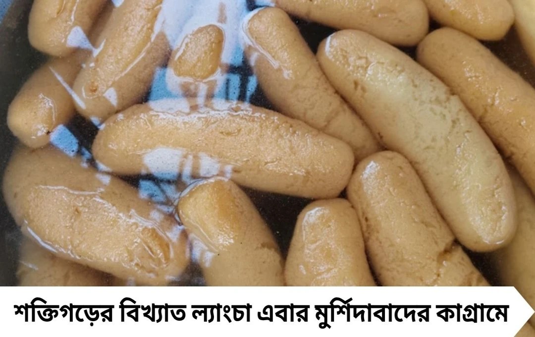 একটা খেলেই পেট ভরবে! শক্তিগড়ের মতো বিশাল ল্যাংচা এবার মুর্শিদাবাদে