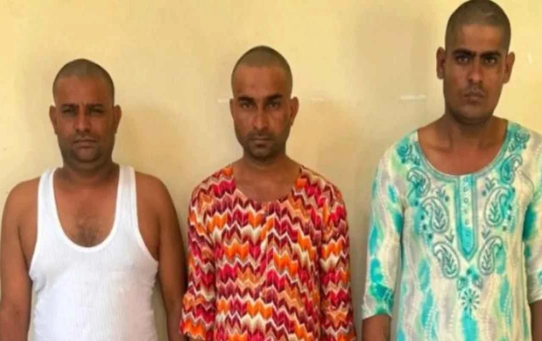 Sikar: शहर में पुलिस का ऑपरेशन क्लीन, गैंगस्टरों के ठिकानों पर पुलिस ने चलाया बड़ा अभियान