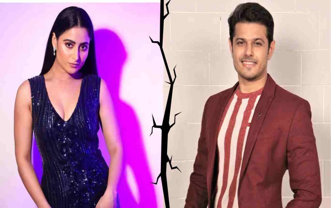 नील भट्ट और ऐश्वर्या शर्मा का तलाक? शादी के 4 साल बाद रिश्ते में आई दरार