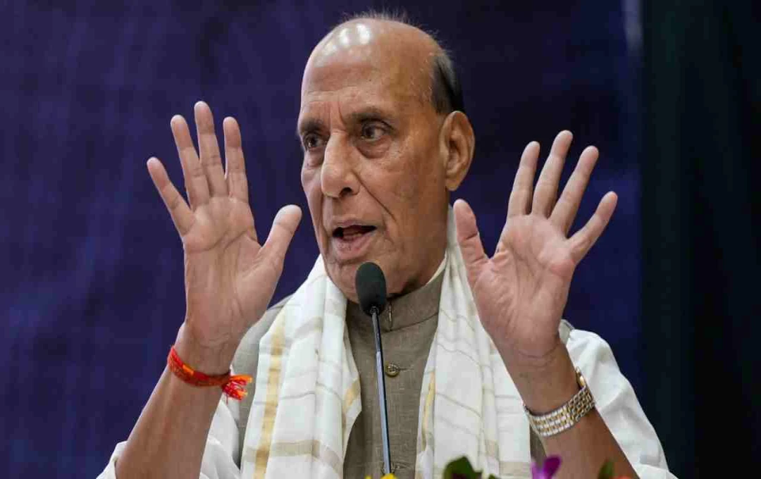 बीजेपी को जल्द मिलेगा नया राष्ट्रीय अध्यक्ष, रक्षा मंत्री राजनाथ सिंह ने किया बड़ा ऐलान