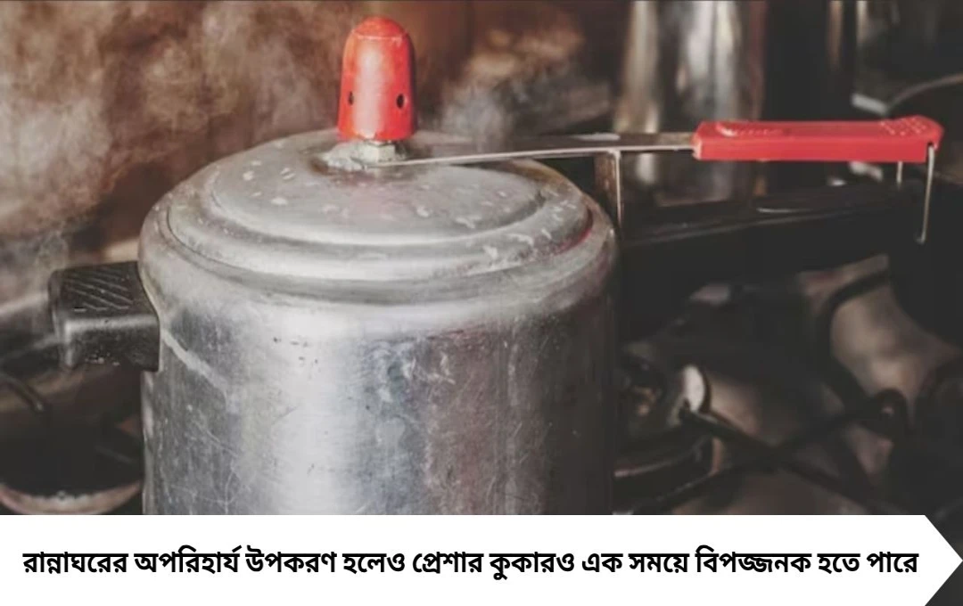Pressure Cooker: পুরনো কুকারে মিশছে বিষাক্ত সীসা! সিটি আলগা হলে সাবধান, এক্সপায়ারি ডেট পেরোলে বদলে ফেলুন এখনই