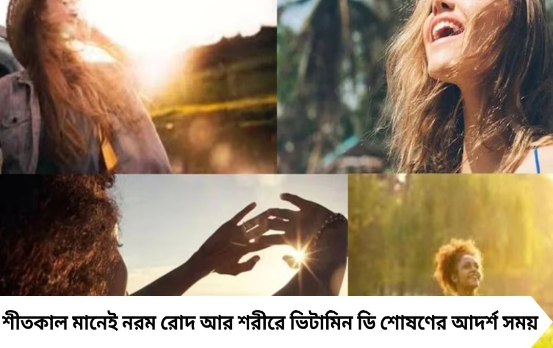 Vitamin D Sunlight Timing: শীতে রোদ পোহানোর সঠিক সময় জানালেন চিকিৎসক, ভিটামিন ডি-এর প্রাকৃতিক উৎস সূর্য