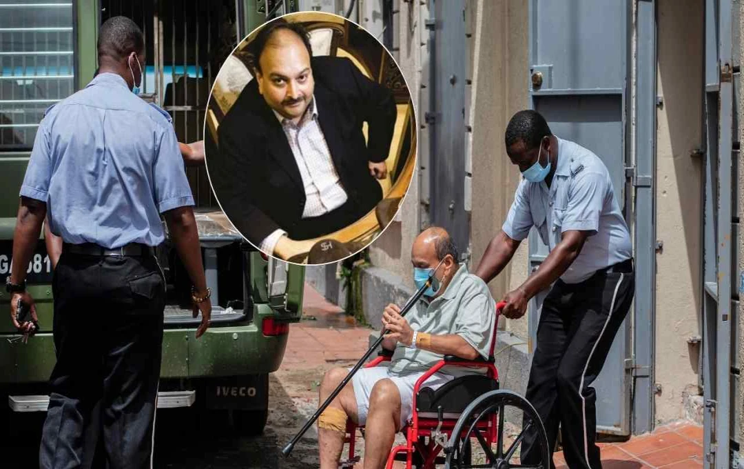 क्या मेहुल चौकसी की संपत्ति अब होगी नीलाम? PMLA कोर्ट ने दी हरी झंडी