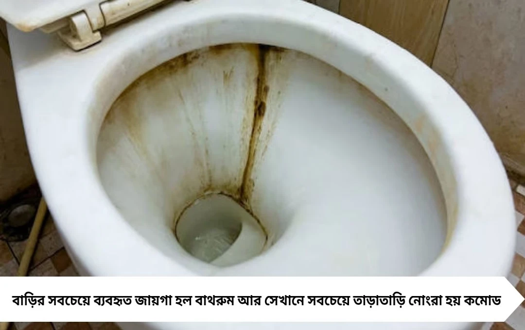 বাড়িতে থাকা ৩ উপাদানেই কমোড হবে ঝকঝকে, ক্লিনার নয় আর খরচও নয়