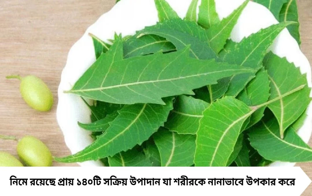 নিমপাতার গুণ অসংখ্য, কিন্তু সবার জন্য নয়! চিকিৎসক জানালেন কাদের শরীরে উল্টো প্রভাব ফেলতে পারে এই পাতা
