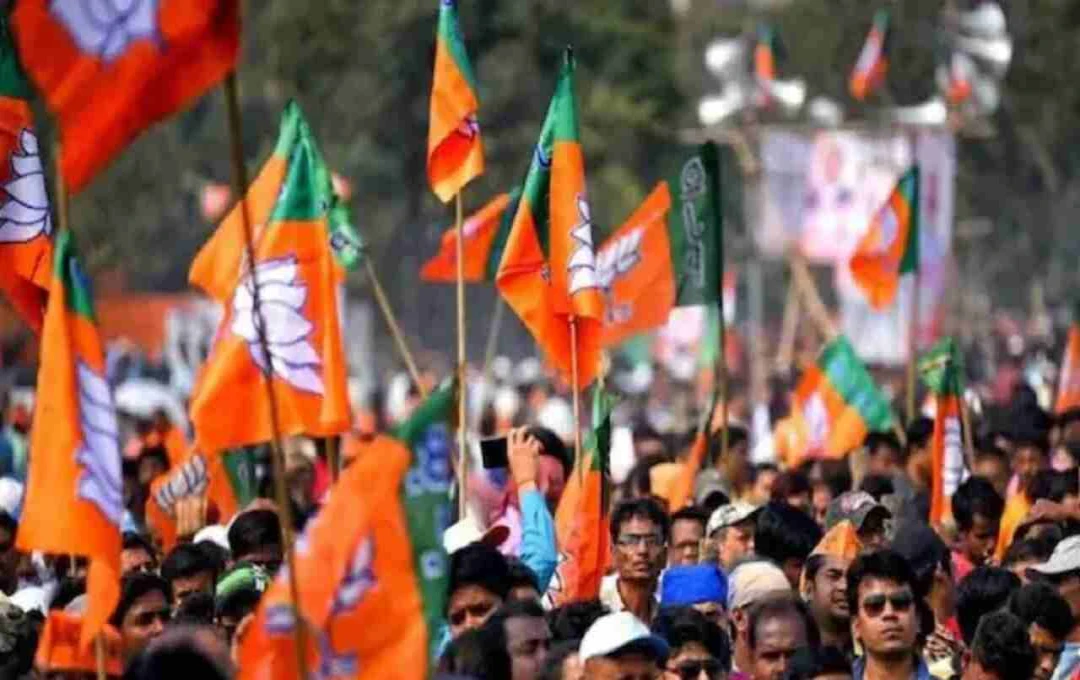 दिल्ली एमसीडी उपचुनाव 2025: बीजेपी ने घोषित की 12 उम्मीदवारों की सूची, जानिए कौन कहां से लड़ेगा चुनाव?