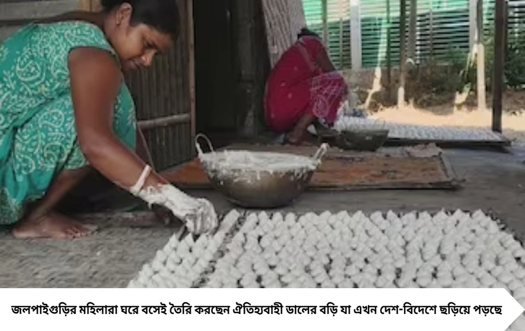 দেশ ছাড়িয়ে বিদেশে জলপাইগুড়ির বড়ি! মহিলাদের হাতে ঘরে বসে রোজগার