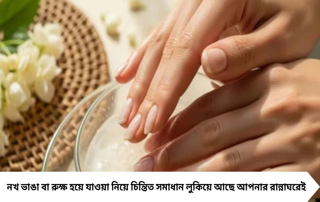 Brittle Nail Remedies: চালের জলেই সমাধান! নিয়মিত ব্যবহারেই নখ হবে মজবুত ও চকচকে