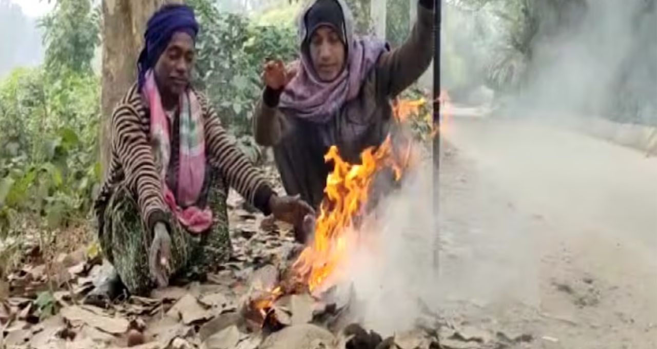 Hooghly Weather Today: শীতের কামড়, তাপমাত্রা নেমে ১৬ ডিগ্রি
