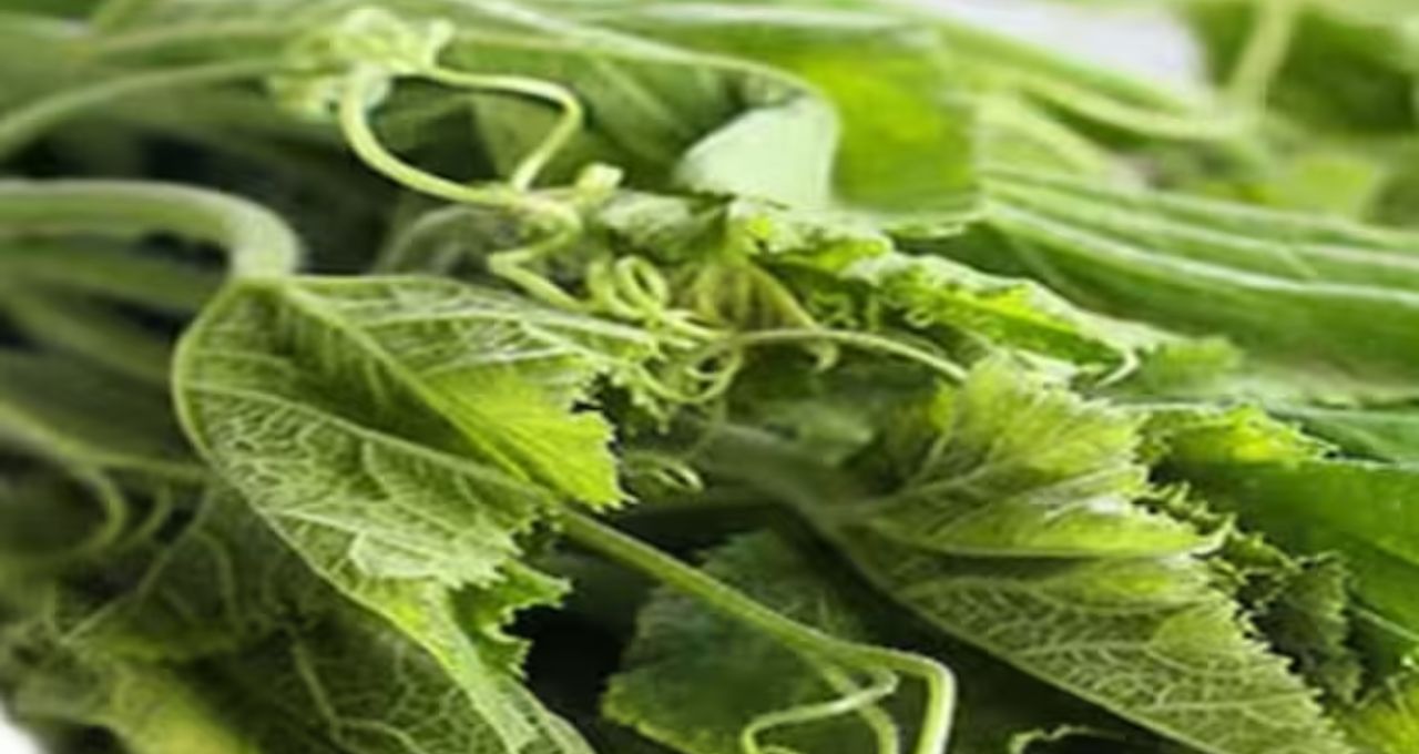 Pumpkin Leaves Benefits: কুমড়োর শাকের জাদুকরী স্বাস্থ্য উপকারিতা
