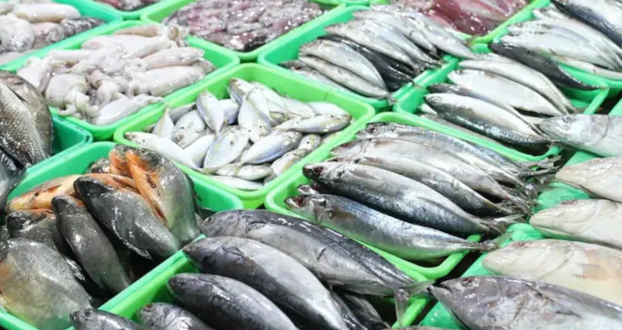 Toxic Fish: জিভ অসাড়, শরীর প্যারালাইজড, শ্বাসকষ্টে মৃত্যু! ফুগু-সহ এই ২ মাছ খেলেই ছড়াবে মারাত্মক বিষ
