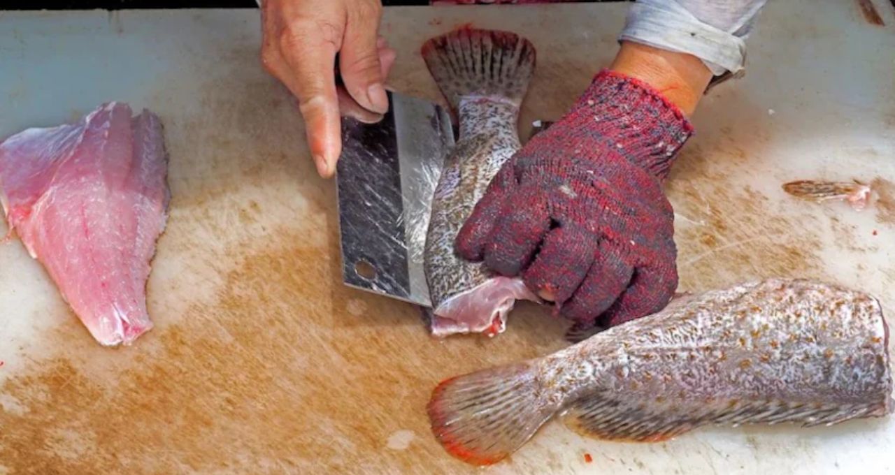 Toxic Fish: জিভ অসাড়, শরীর প্যারালাইজড, শ্বাসকষ্টে মৃত্যু! ফুগু-সহ এই ২ মাছ খেলেই ছড়াবে মারাত্মক বিষ
