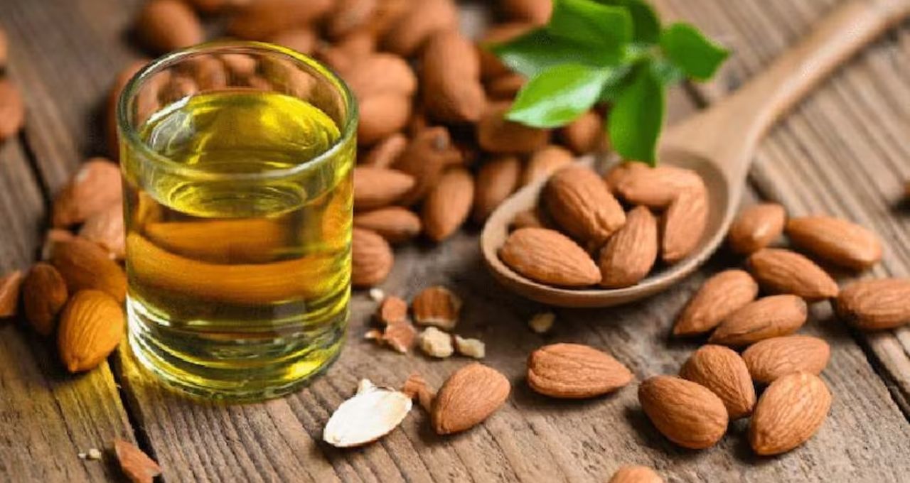 Almond Health Benefits: বুদ্ধি বাড়ায়, হার্ট ভাল রাখে, ওজন ও ডায়াবেটিস নিয়ন্ত্রণে রাখে আমন্ড—কিন্তু রোজ ঠিক কতটা খাওয়া নিরাপদ?
