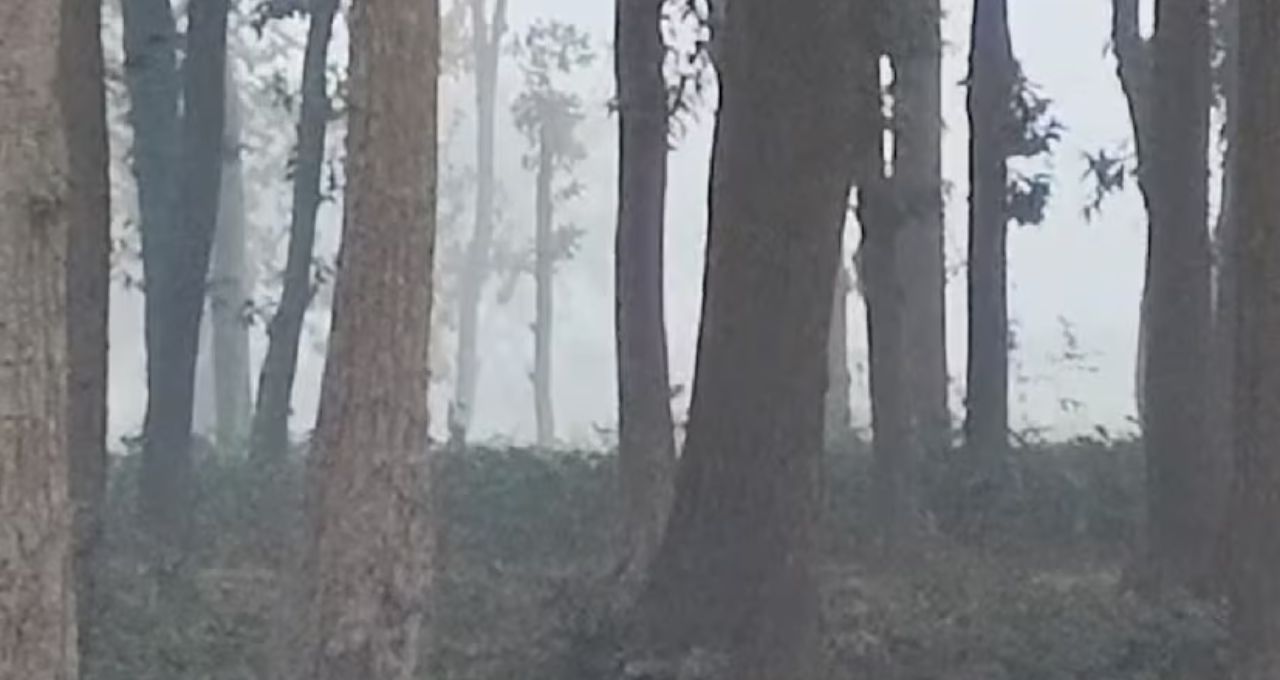 কুয়াশার দাপটে স্তব্ধ বাংলা! কলকাতা থেকে মালদা—এক কিমির নীচে দৃশ্যমানতা, আগামিকালও সতর্কতা
