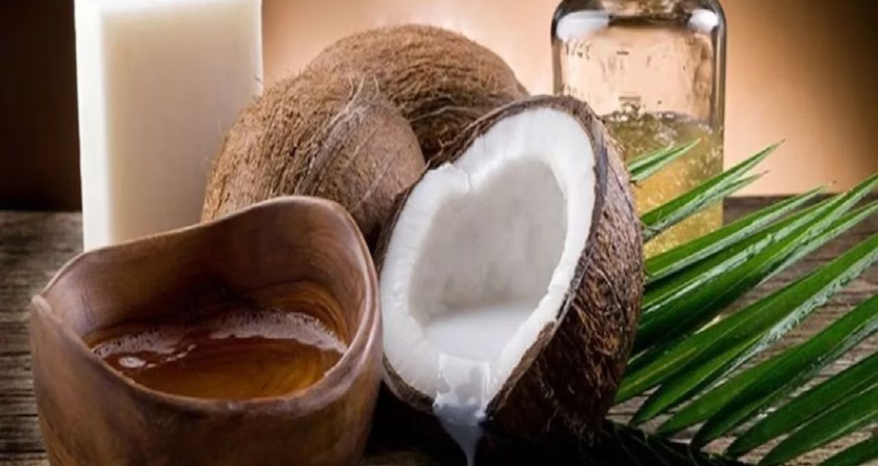Winter Hair Care: শীতে রুক্ষ-শুষ্ক চুল, মাথাভর্তি খুশকি? দামি শ্যাম্পু নয়, এই ঘরোয়া তেলেই ফিরবে চুলের জেল্লা
