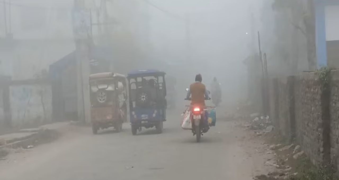 Weather Update: বড়দিনে জাঁকিয়ে ঠান্ডা নাকি শীত উধাও? উত্তরবঙ্গে কুয়াশা-শুষ্ক আবহাওয়ার মেগা আপডেট