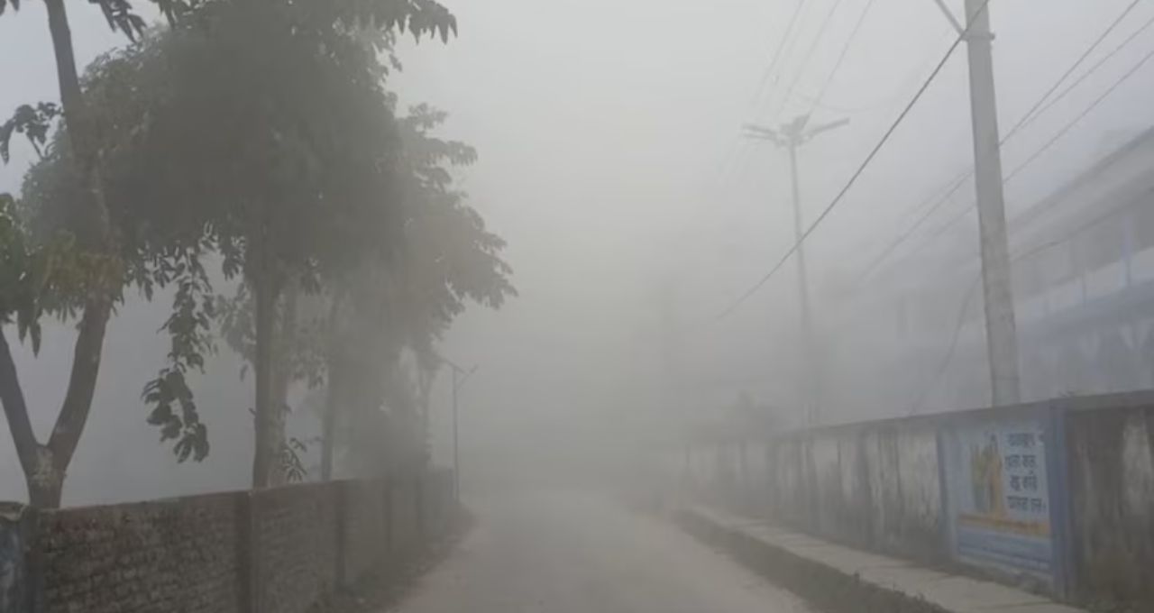 Weather Update: বড়দিনে জাঁকিয়ে ঠান্ডা নাকি শীত উধাও? উত্তরবঙ্গে কুয়াশা-শুষ্ক আবহাওয়ার মেগা আপডেট