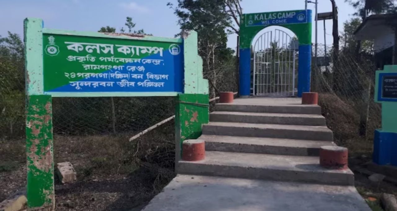 Sundarban Tour: পাখির ডাকে ঘুম ভাঙবে, দক্ষিণরায়ের পায়ের ছাপের রহস্য! কোর জঙ্গলের কলস দ্বীপে শীতের রোমাঞ্চকর ভ্রমণ