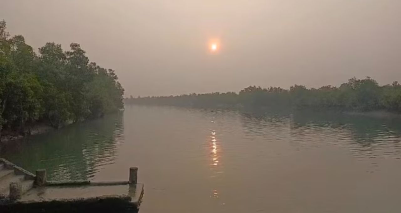 Sundarban Tour: পাখির ডাকে ঘুম ভাঙবে, দক্ষিণরায়ের পায়ের ছাপের রহস্য! কোর জঙ্গলের কলস দ্বীপে শীতের রোমাঞ্চকর ভ্রমণ