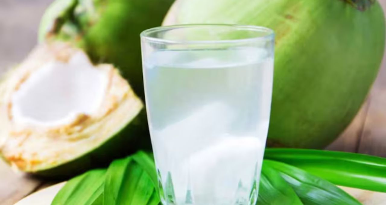 Coconut Water Side Effects: শীতে ডাবের জল মানেই উপকার? বদহজম, লো ব্লাড প্রেশার-সহ ৬ সমস্যায় ১ চুমুকেই পড়তে পারেন বড় বিপদে!