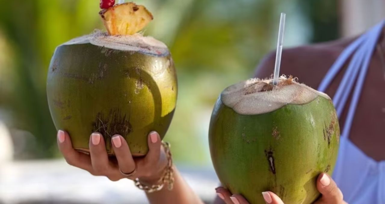 Coconut Water Side Effects: শীতে ডাবের জল মানেই উপকার? বদহজম, লো ব্লাড প্রেশার-সহ ৬ সমস্যায় ১ চুমুকেই পড়তে পারেন বড় বিপদে!