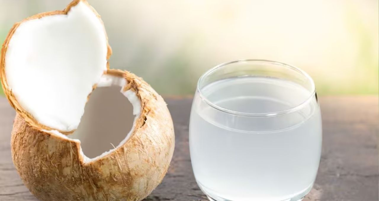Coconut Water Side Effects: শীতে ডাবের জল মানেই উপকার? বদহজম, লো ব্লাড প্রেশার-সহ ৬ সমস্যায় ১ চুমুকেই পড়তে পারেন বড় বিপদে!