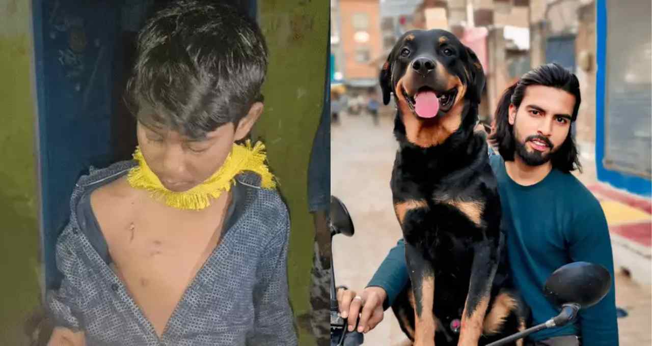 हमीरपुर में बसपा नेता के पालतू रोटवीलर का हमला, 11 साल का बच्चा गंभीर घायल