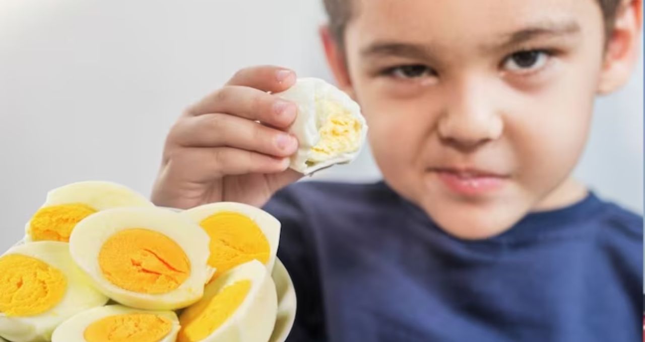 Egg Health Tips: ডিমের সঙ্গে এই ৭ খাবার খেলেই বিপদ! হজমের সমস্যা থেকে পুষ্টি নষ্ট—সতর্ক করছেন বিশেষজ্ঞরা
