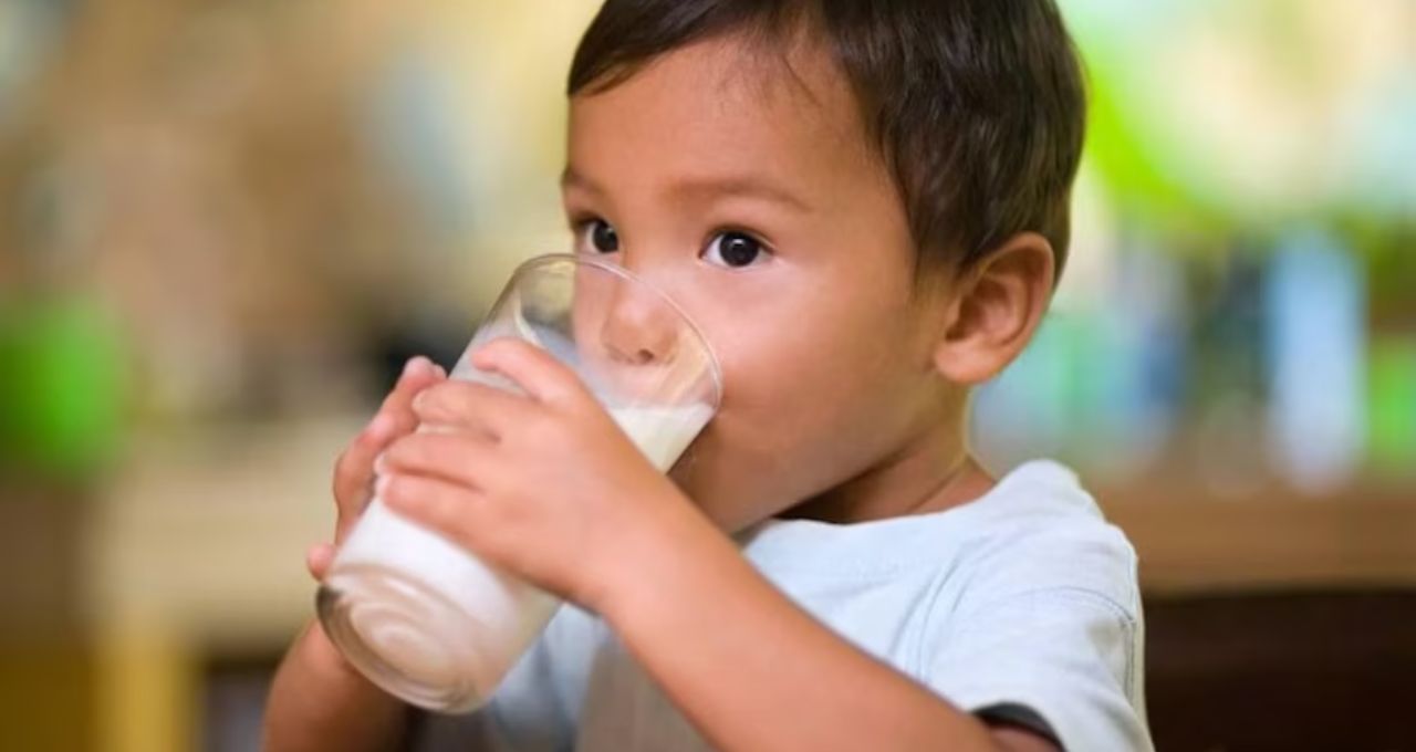 Egg Health Tips: ডিমের সঙ্গে এই ৭ খাবার খেলেই বিপদ! হজমের সমস্যা থেকে পুষ্টি নষ্ট—সতর্ক করছেন বিশেষজ্ঞরা
