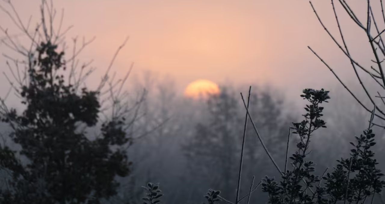 Record Cold In February: ফেব্রুয়ারির মাঝেই কাঁপছে বাংলা, উত্তুরে হাওয়ায় নামল তাপমাত্রার পারদ
