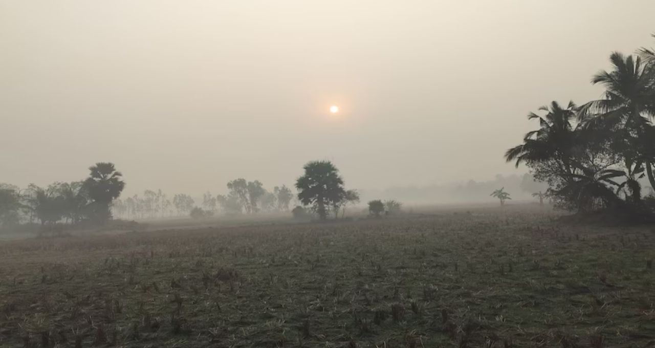 Record Cold In February: ফেব্রুয়ারির মাঝেই কাঁপছে বাংলা, উত্তুরে হাওয়ায় নামল তাপমাত্রার পারদ
