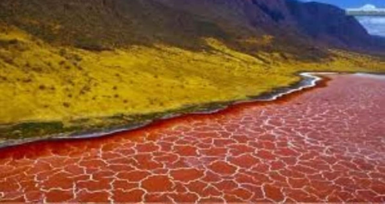 রক্তের মতো লাল জল, নামলেই প্রাণঘাতী! আফ্রিকার যে হ্রদ পশু-পাখিকে ‘পাথর’ বানিয়ে দেয়
