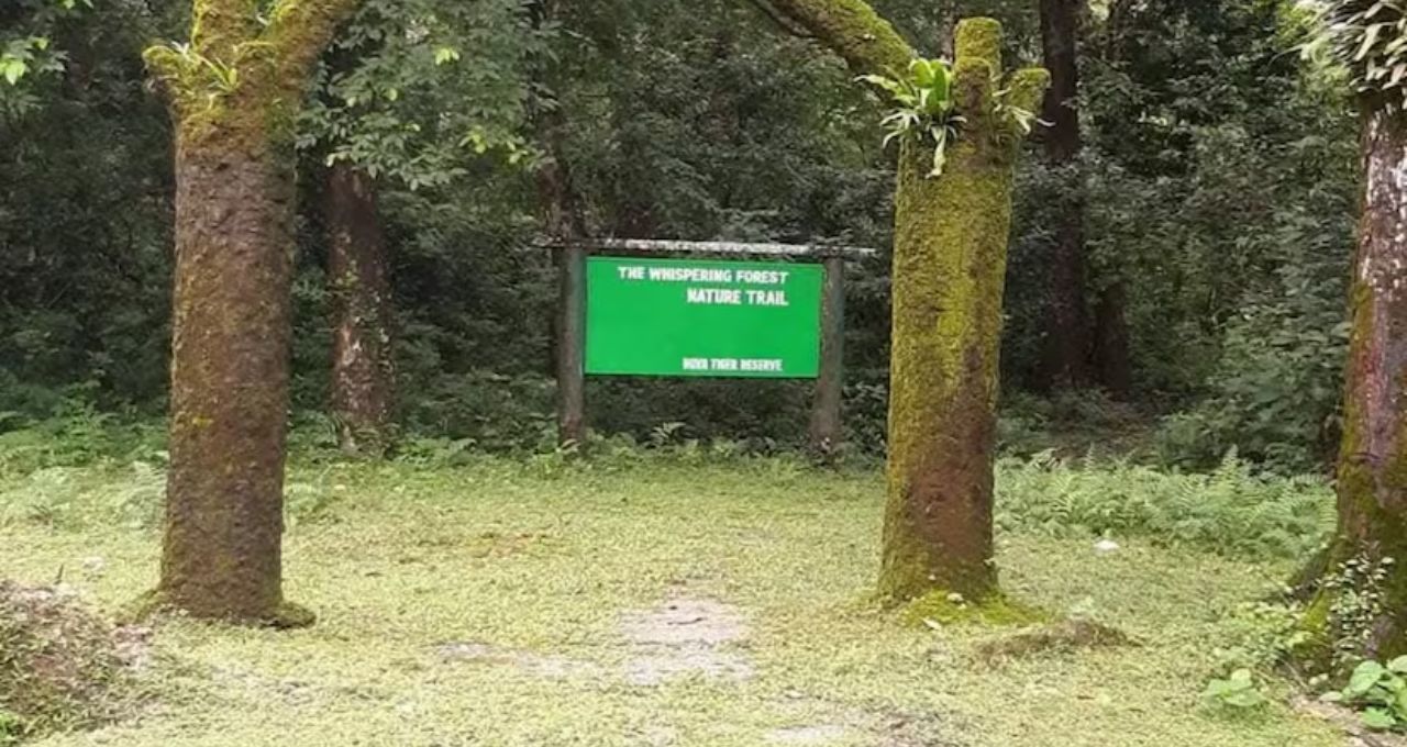 Dooars Tourism: ডুয়ার্স সফরে রাজাভাতখাওয়া মিস মানেই আফসোস! জঙ্গল সাফারি থেকে ঐতিহাসিক স্টেশন—জেনে নিন ঘোরার সেরা ঠিকানা

