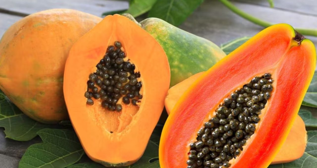 Stomach Cleaning Foods: মুগডাল থেকে পালংশাক—৭ খাবারের জাদুতে পেট হবে গলগলিয়ে সাফ, কোষ্ঠকাঠিন্যের যন্ত্রণা বিদায়!
