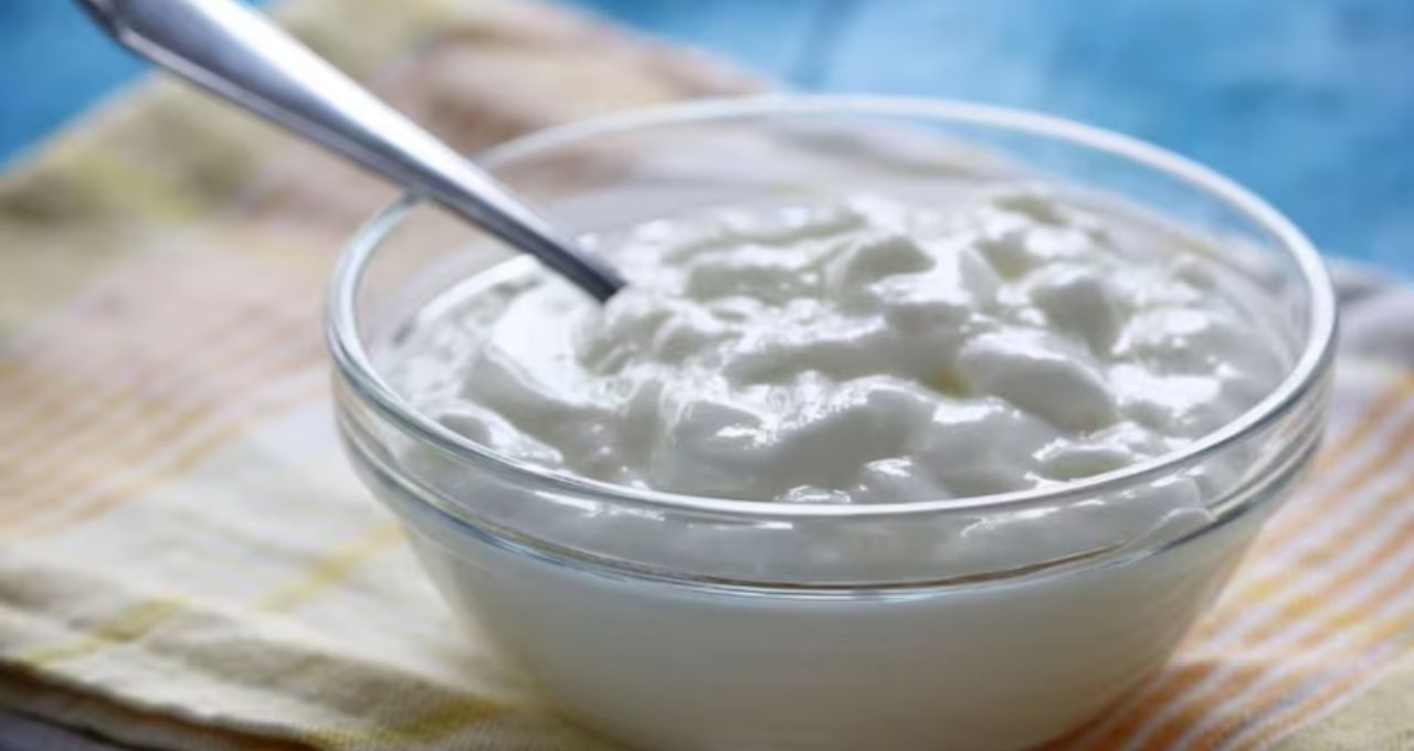 Stomach Cleaning Foods: মুগডাল থেকে পালংশাক—৭ খাবারের জাদুতে পেট হবে গলগলিয়ে সাফ, কোষ্ঠকাঠিন্যের যন্ত্রণা বিদায়!
