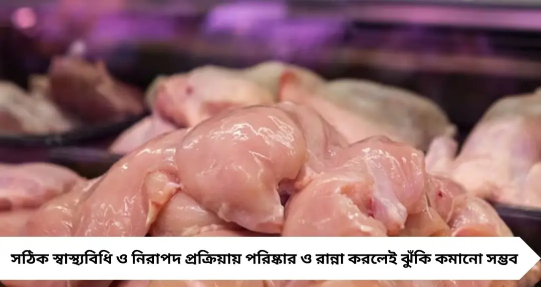 মুরগি কেনার পর শুধু জল নয়! এভাবেই পরিষ্কার করুন, নইলে বাড়বে সংক্রমণের ঝুঁকি