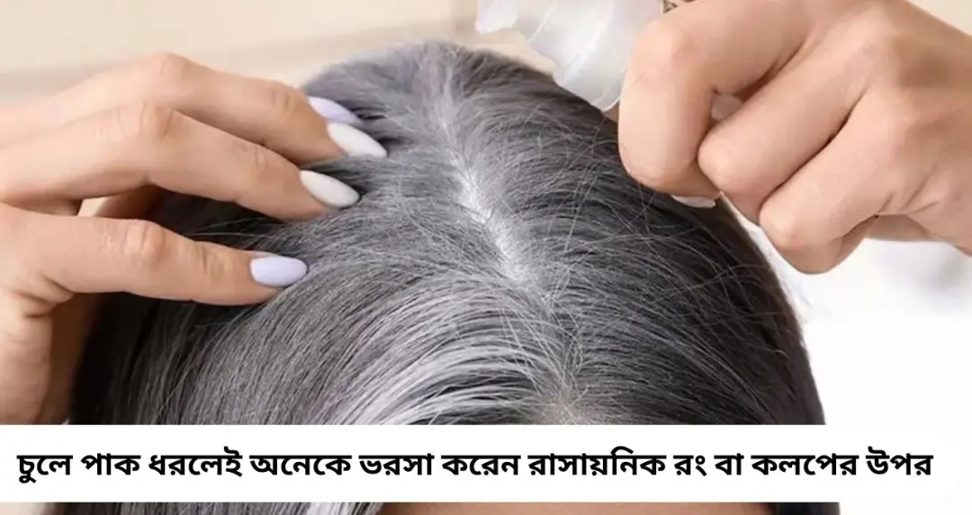 দামি কলপ নয়, ১ মুঠো আমলকিতেই ফিরবে কালো রং! প্রাকৃতিক টনিকে কমবে চুল পড়া, বাড়বে ঘনত্ব
