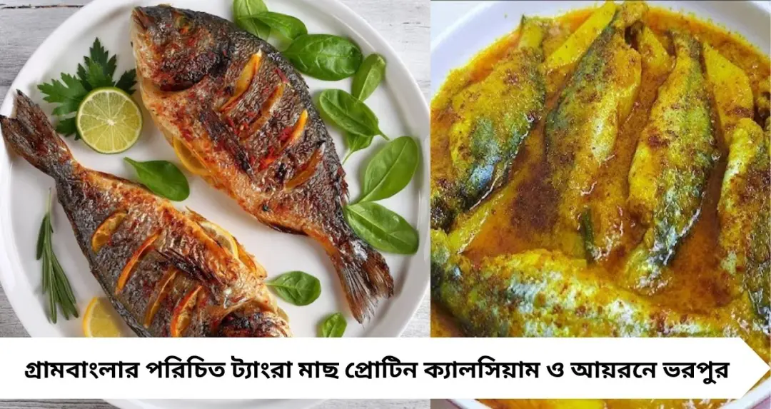 ডিম-ভরা বড় ট্যাংরা না ছোট দেশি ট্যাংরা? পুষ্টিতে কে এগিয়ে জানুন বিশেষজ্ঞদের মত