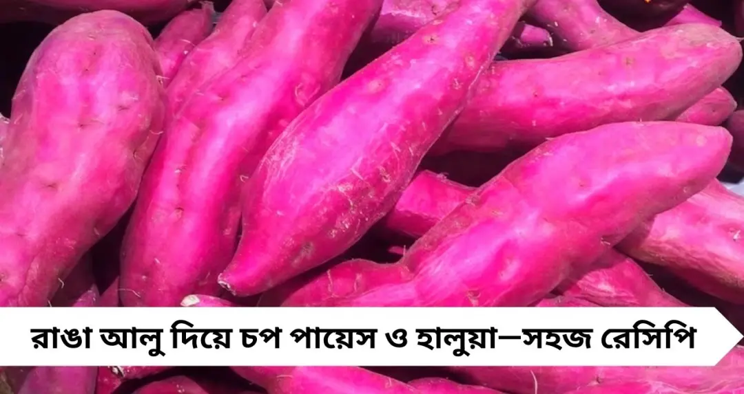 Sweet Potato Recipe: পুষ্টিতে ভরপুর রাঙা আলু, চপ থেকে পায়েস—ঝটপট বানান নোনতা ও মিষ্টি দুই রকম রেসিপি
