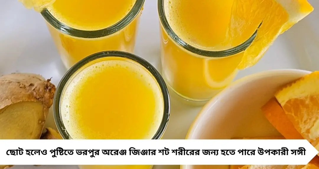 হজমে সহায়ক, এনার্জি বাড়ায়, ডিটক্সেও কার্যকর— কমলালেবুর ‘ম্যাজিক’ অরেঞ্জ জিঞ্জার শট জানেন?
