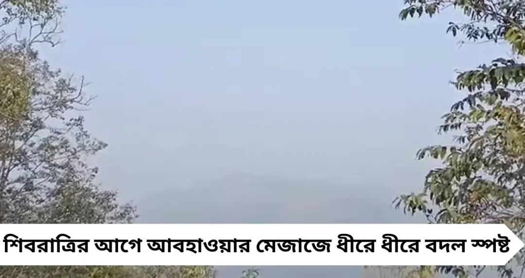 North Bengal Weather Today: শিবরাত্রির আগে বদলাচ্ছে আবহাওয়া! উত্তরে চড়ছে পারদ, জেলায় জেলায় আজ কেমন থাকবে আবহাওয়া
