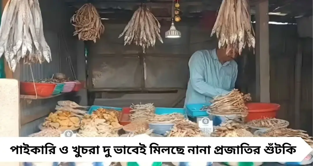 Digha Shutki Market: শুঁটকি প্রেমীদের স্বর্গ দিঘা মোহনা! ৪০ টাকা থেকে শুরু, লোটে না ইলিশ—কোনটি সেরা?
