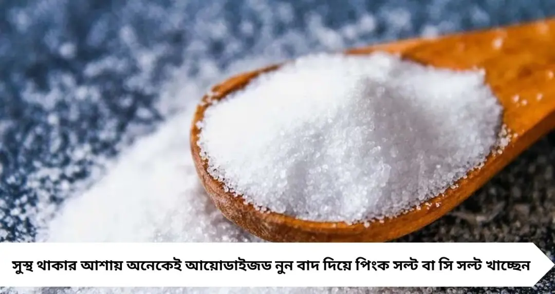 ‘পিংক সল্ট’ খেয়ে বিপদ ডেকে আনছেন? আয়োডিনের ঘাটতিতে গয়টার-হাইপোথাইরয়েডিজমের ঝুঁকি, সতর্কবার্তা চিকিৎসকের